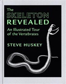 Steve Huskey, Steve (Western Kentucky University) Huskey, Huskey Steve - Skeleton Revealed