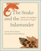 Alvin R Breisch, Alvin R. Breisch, Alvin R. (Roosevelt Wild Life Station) Breisch, Breisch Alvin R., Matt Patterson - Snake and the Salamander