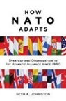 Seth A Johnston, Seth A. Johnston, Seth A. (Assistant Professor of International Relations Johnston - How NATO Adapts
