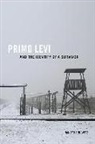 Nancy Harrowitz - Primo Levi and the Identity of a Survivor