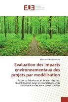 Mohamed Habib Sellami - Evaluation des impacts environnementaux des projets par modélisation
