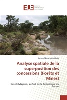 Armand Brice Dzatini Ecko - Analyse spatiale de la superposition des concessions (Forêts et Mines)