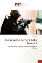 Ali Diaby - Qui se cache derrière boko haram ?