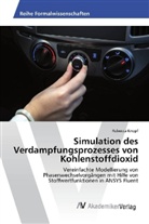 Rebecca Knopf - Simulation des Verdampfungsprozesses von Kohlenstoffdioxid