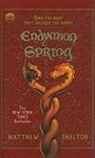 Matthew Skelton - Endymion Spring