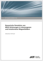Sebastian Ehrhard - Numerische Simulation von MHD-Strömungen in inhomogenen und instationären Magnetfeldern