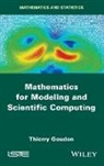 Goudon, Thierry Goudon - Mathematics for Modeling and Scientific Computing