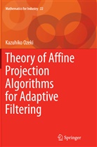 Kazuhiko Ozeki - Theory of Affine Projection Algorithms for Adaptive Filtering