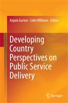 Anjul Gurtoo, Anjula Gurtoo, Williams, Williams, Colin Williams - Developing Country Perspectives on Public Service Delivery