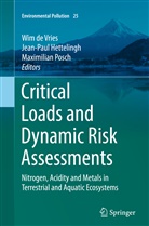 Wim de Vries, Jean-Pau Hettelingh, Jean-Paul Hettelingh, Maximilian Posch - Critical Loads and Dynamic Risk Assessments