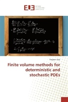 Yueyuan Gao - Finite volume methods for deterministic and stochastic PDEs