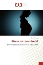 Diane Hissung - Stress materno-foetal