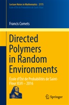 Francis Comets - Directed Polymers in Random Environments