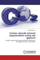 Amin Azhdarpour - Carbon dioxide mineral sequestration using red gypsum