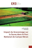 Gille Etoga, Gilles Etoga, John Cyri Fialla, John Cyril Fialla, Annie Claud Pial, Annie Claude Pial - Impact du braconnage sur la faune dans le Parc National de Campo-Ma'an