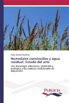 Pedro Andreo Martínez - Humedales construidos y agua residual. Estado del arte