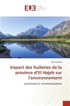 Adil Essahale - Impact des huileries de la province d'El Hajeb sur l'environnement