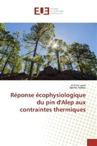 Djamel Alatou, Ahme Laala, Ahmed Laala - Réponse écophysiologique du pin d'Alep aux contraintes thermiques
