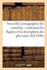 Verschaffelt - Nouvelle iconographie des