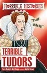 Terr Deary, Terry Deary, Neil Tonge, Martin Brown - Terrible Tudors
