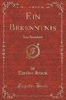 Theodor Storm - Ein Bekenntnis: Eine Erzählung (Classic Reprint)