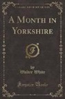 Walter White - A Month in Yorkshire (Classic Reprint)