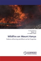 Timoth Downing, Timothy Downing, Mose Imo, Moses Imo, Johnstone Kimanzi - Wildfire on Mount Kenya
