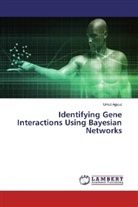 Umut Agyuz - Identifying Gene Interactions Using Bayesian Networks