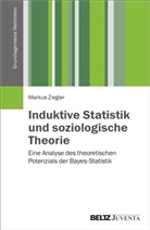 Markus Ziegler - Induktive Statistik und soziologische Theorie
