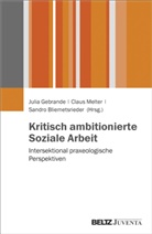 Bliemetsrieder, Sandro Bliemetsrieder, Julia Gebrande, Clau Melter, Claus Melter - Kritisch ambitionierte Soziale Arbeit