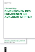 Elisabeth Häge - Dimensionen des Erhabenen bei Adalbert Stifter