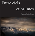 François-Xavier Driant - Entre ciels et brumes
