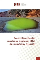Wafa Mechti - Pouzzolanicité des minéraux argileux: effet des minéraux associés
