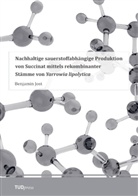Benjamin Jost - Nachhaltige sauerstoffabhängige Produktion von Succinat mittels rekombinanter Stämme von Yarrowia lipolytica