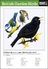 Instant Guides, Instant Guides - British Garden Birds