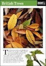 Instant Guides, Instant Guides - British Trees