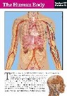 Instant Guides, Instant Guides - The Human Body