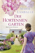 Marie Lamballe - Der Hortensiengarten