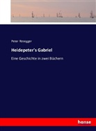 Peter Rosegger - Heidepeter's Gabriel