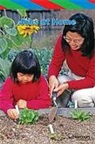 Hsp, Harcourt School Publishers - STORYTOWN STORYTOWN TEACHER/E