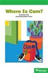 Hsp, Harcourt School Publishers - STORYTOWN STORYTOWN TEACHER/E