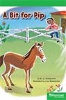 Hsp, Harcourt School Publishers - STORYTOWN STORYTOWN TEACHER/E