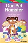 Hsp, Harcourt School Publishers - STORYTOWN STORYTOWN TEACHER/E