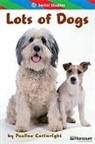 Hsp, Harcourt School Publishers - STORYTOWN STORYTOWN TEACHER/E