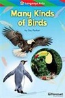 Hsp, Harcourt School Publishers - STORYTOWN STORYTOWN TEACHER/E