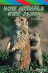 Hsp, Harcourt School Publishers - STORYTOWN STORYTOWN TEACHER/E