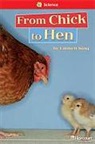 Hsp, Harcourt School Publishers - STORYTOWN STORYTOWN TEACHER/E