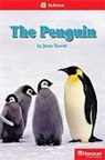 Hsp, Harcourt School Publishers - STORYTOWN STORYTOWN TEACHER/E