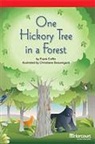 Hsp, Harcourt School Publishers - STORYTOWN STORYTOWN TEACHER/E