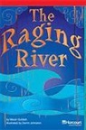 Hsp, Harcourt School Publishers - STORYTOWN STORYTOWN TEACHER/E